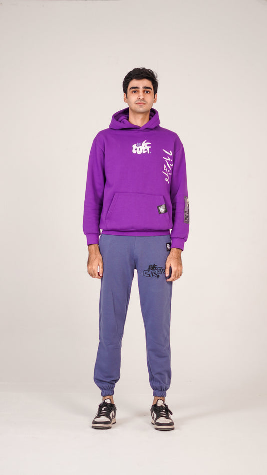 "VISA" Purple Hoodie